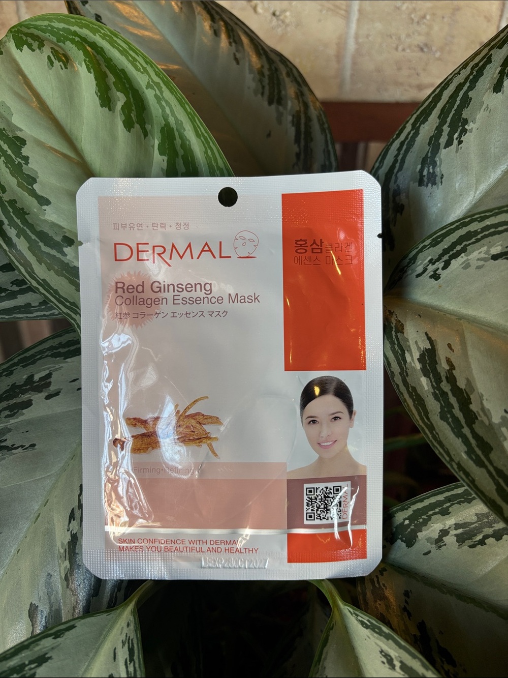 DERMAL Red Ginseng Collagen Essence Mask (1 MASK)